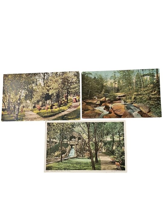 Other - 3 Minnesota Parks 1920s Postcards color Lithograph Cascade Como Conodan Park
